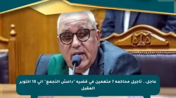 عاجل.. تأجيل محاكمة 7 متهمين في قضية “داعش التجمع” إلى 18 أكتوبر المقبل